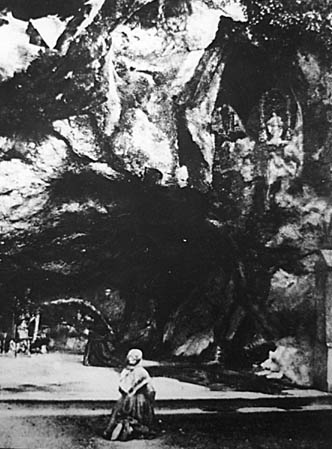 baobab07_04